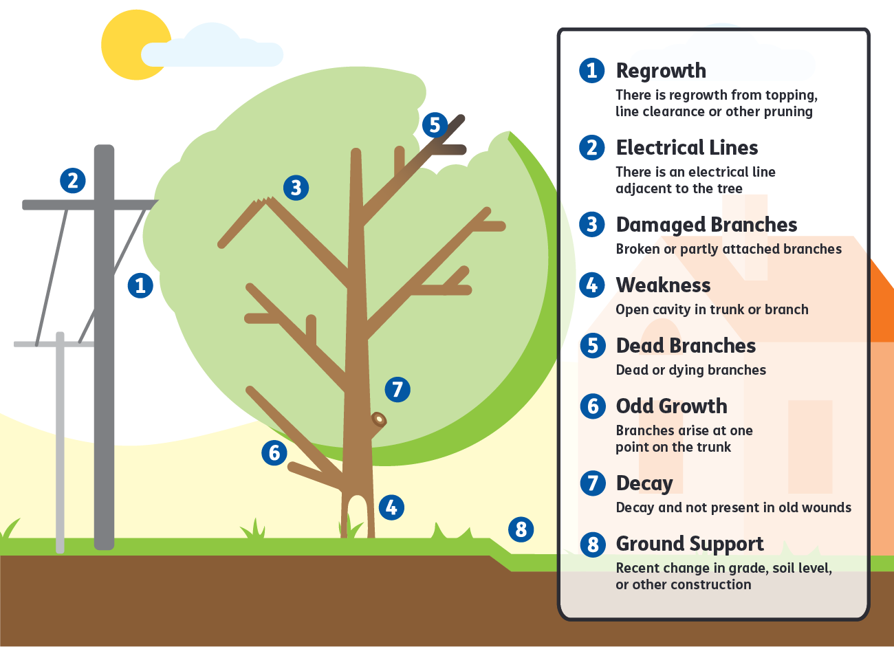 Graphic depicting hazardous tree risks