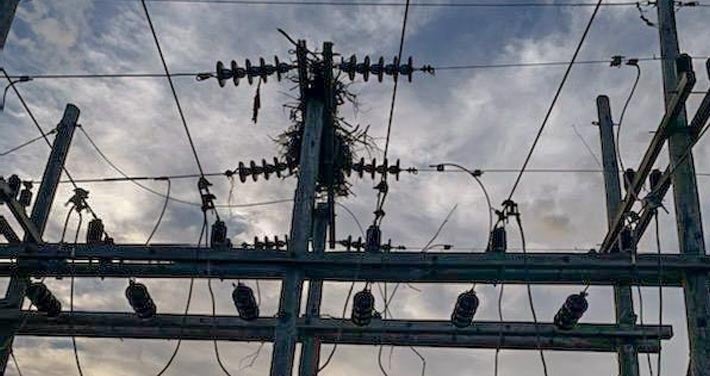 osprey nest sitting atop a large utility pole
