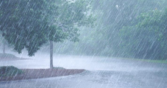 rain pours sideways on trees and pavement