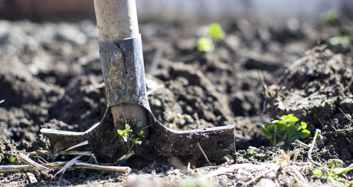 shovel in dirt