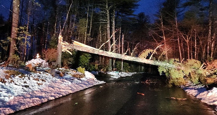 fallen tree covers street with downed wires at night