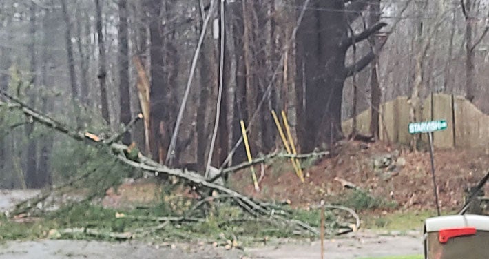 fallen tree pin electric wires down to road