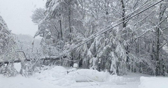 tree pulling powerline down covered with snow