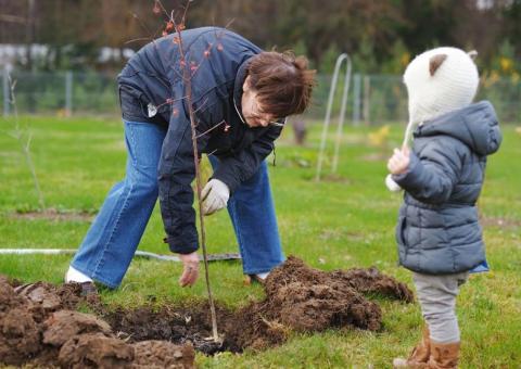 man planting tree with young child watching