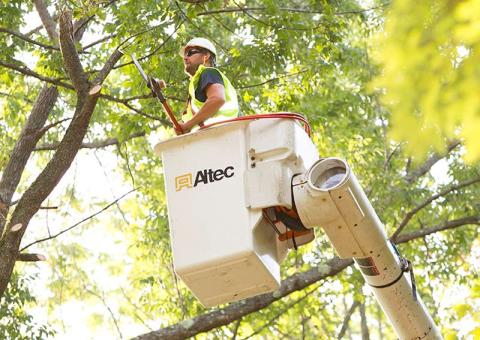 Worker in work bucket using a chain saw on a tree