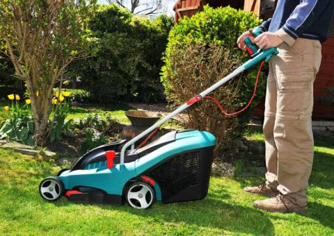 electric law mower in back yard