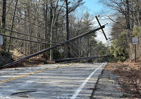 fallen pole leans over roadway