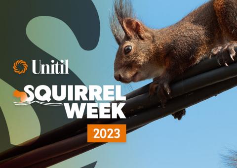 Unitil's squirrel week 2023