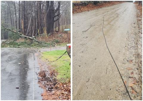 fallen tree covers road with downed power lines