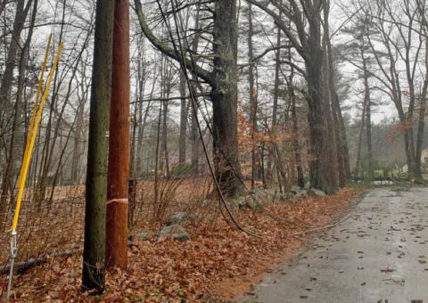 fallen tree covers road with downed power lines